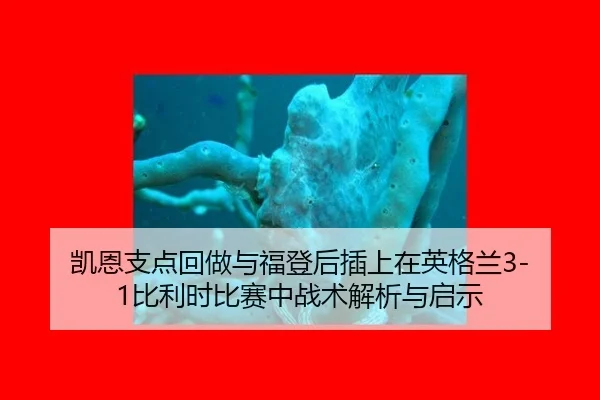kai-en-zhi-dian-hui-zuo-yu-fu-deng-hou-cha-shang-zai-ying-ge-lan-bi-li-shi-bi-sai-zhong-zhan-shu-jie-xi-yu-qi-shi-1-929.jpg